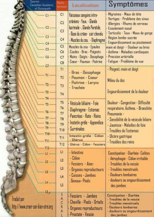 tableau des vertebres